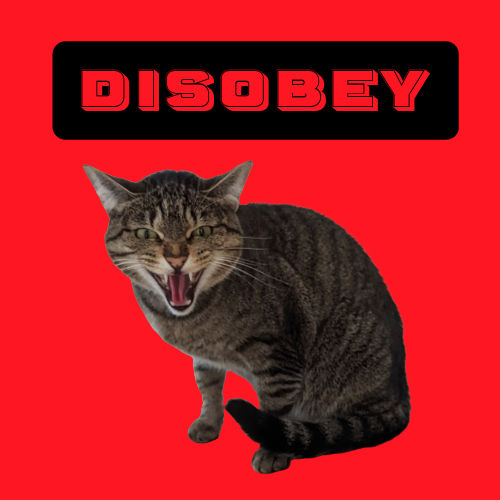 Disobey Kitty Sticker
